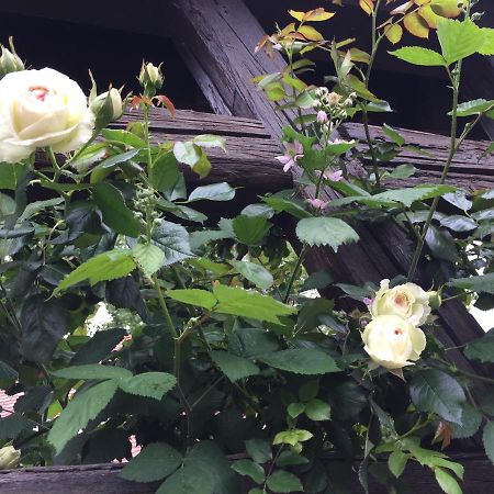 B&B Le Lodge Bourgheim Εξωτερικό φωτογραφία