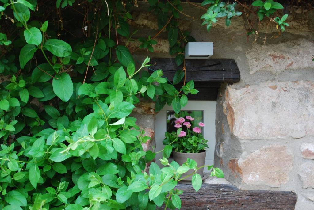 B&B Le Lodge Bourgheim Εξωτερικό φωτογραφία